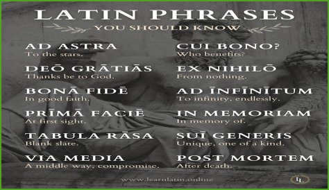 A Profile Of A Latin Beauty